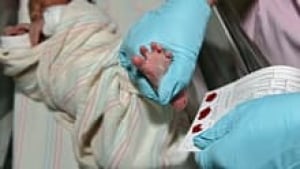 si-newborn-heel-blood-220-c