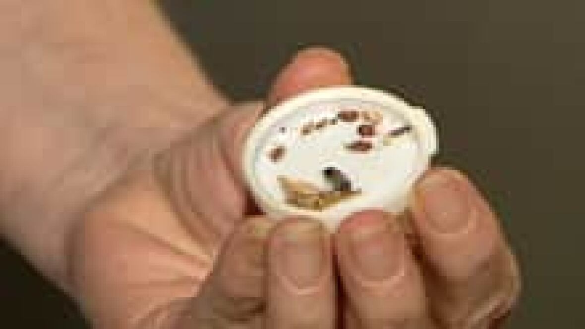 Bed bug complaints down in Edmonton CBC News