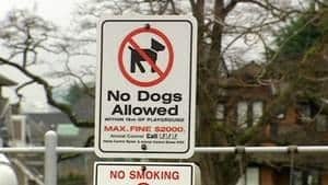 hi-bc-120223-dog-tickets-4col