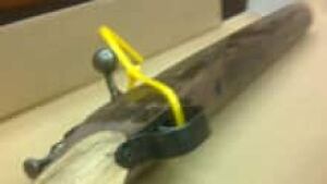 si-lrt-gun