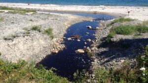 ns-stream-bayswater-852-6col