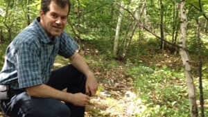 mi-stephen-monet-forest-300