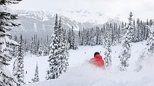 hi-bc-121204-john-champion-coastphoto