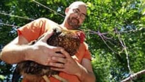 si-chicken-barnyard-220-cp-