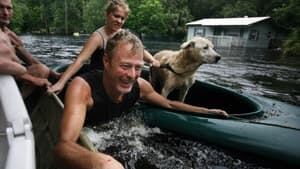 si-debby-florida-cp02866451