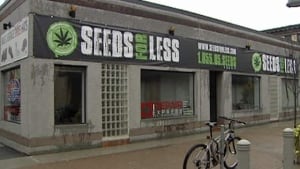 wdr-620-seeds-for-less