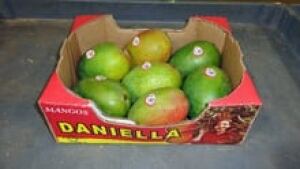 si-mango-daniella-220-cp