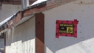 hi-beware-of-dog_1