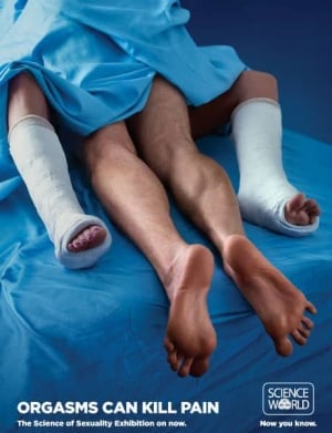mi-bc-130813-science-world-ad-bed