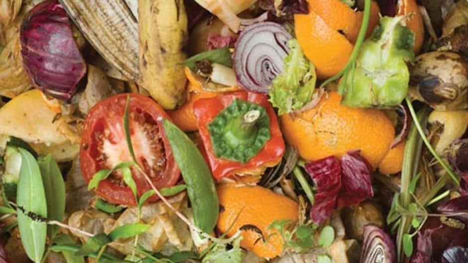 cbc.ca - Pam Berman - Halifax awards $288M tender to construct composting facility