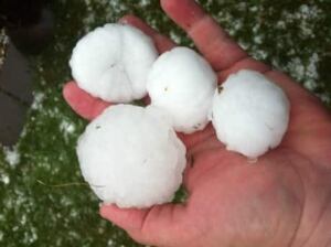 si-pincher-hail-460