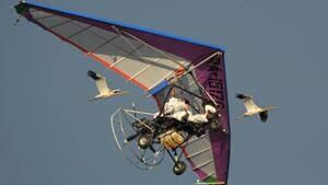 ii-putin-birds-300-rtr37js1