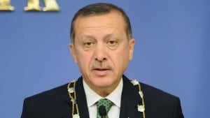 hi-turkey-pm-852-3408186