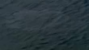 oilsheen_220x124_1