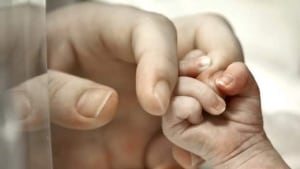 hi-baby-hand-cp02424919-8col
