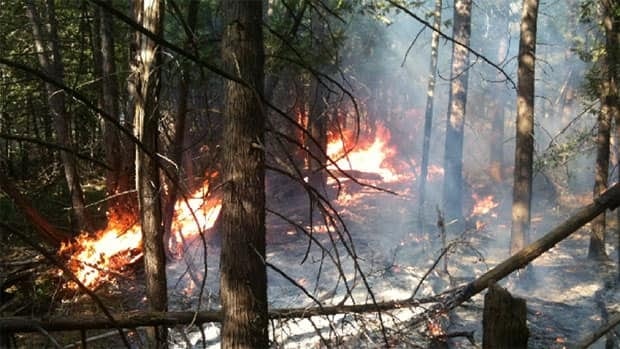 li-ot-brushfire620