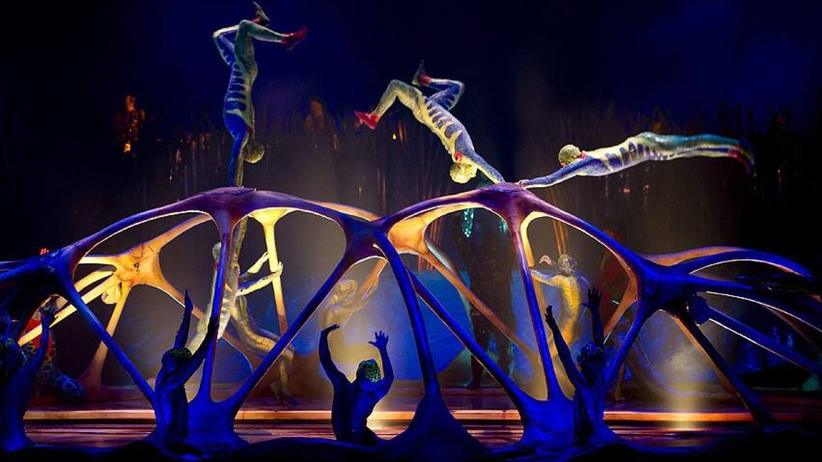 cirque du soleil the high wire act of building sustainable partnerships cirque du soleil the high wire act of building sustainable partnerships
