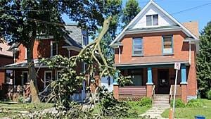 si-hydrowiretree-kitchener