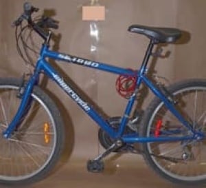 si-220-blue-bike
