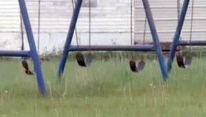 mi-empty-swings