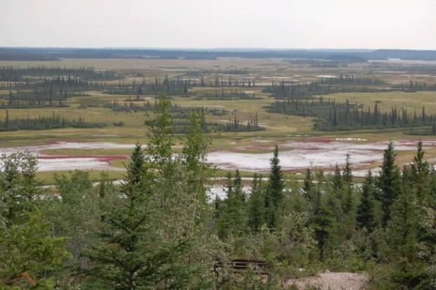 Salt Plains in Wood Buffalo National Park