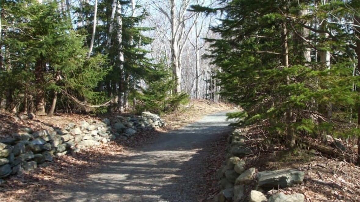 Shubenacadie Park in Dartmouth unearthed by archaeology enthusiasts