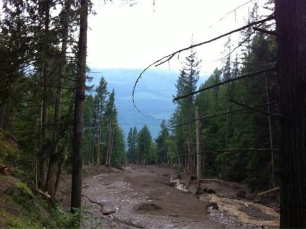 Johnsons Landing landslide