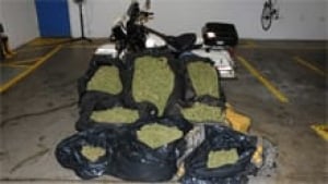 nb-fredericton-marijuana
