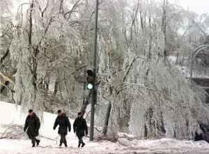 Soldiers assist Montrealers