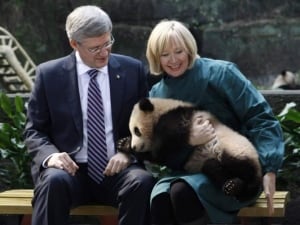 The prime minister and the panda