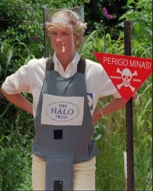 Landmine awareness