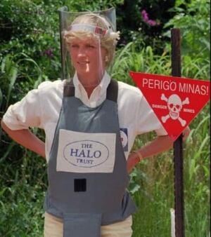 Landmine awareness