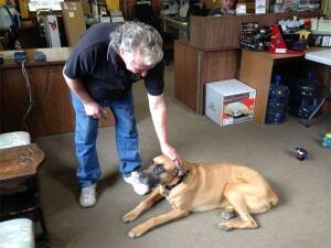 Dog hit with hammer at Hawk Auto and Truck Accessories