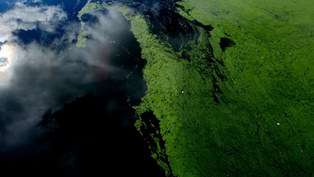 Kids Discovery Com >> Ancient oxygen discovery shakes up history of life on ... Kids Discovery Com >> Ancient oxygen discovery shakes up history of life on ...