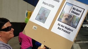 Animal shelter protest, Sudbury