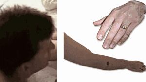 nb-child-sexual-abuse-suspect