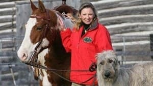 nb-horses-by-sea-4col