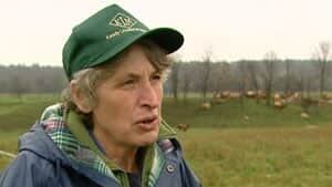 mi-ott-carolyn-cross-cows