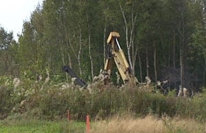 pe-mi-bonshaw-tree-harveste