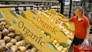 si-organic-fruit-220-cp-321