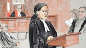 prosecutor-shafia-photo