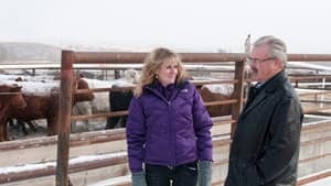 ritzcattle2011-300