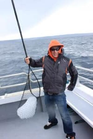 nl-cp-icebergs-20120528
