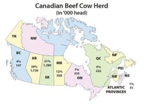 fi-beef-info-canada-beef
