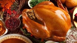 hi-turkey-istock_000016829766-4col