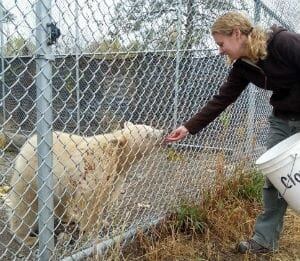si-bc-121030-zookeeper-and-spirit-bear