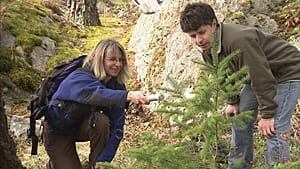 sm-300-smartyplants-bc-forest