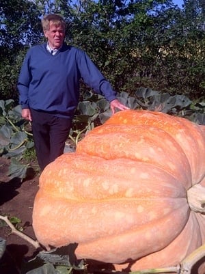 mi-ns-giant-pumpkin