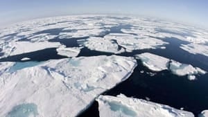 mi-arctic-sea-ice-cp