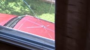 pellet-window_220x124_1
